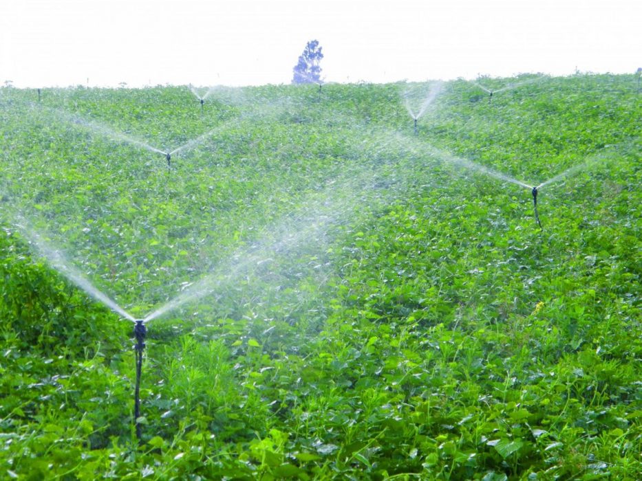 systèmes d’irrigation Lyon